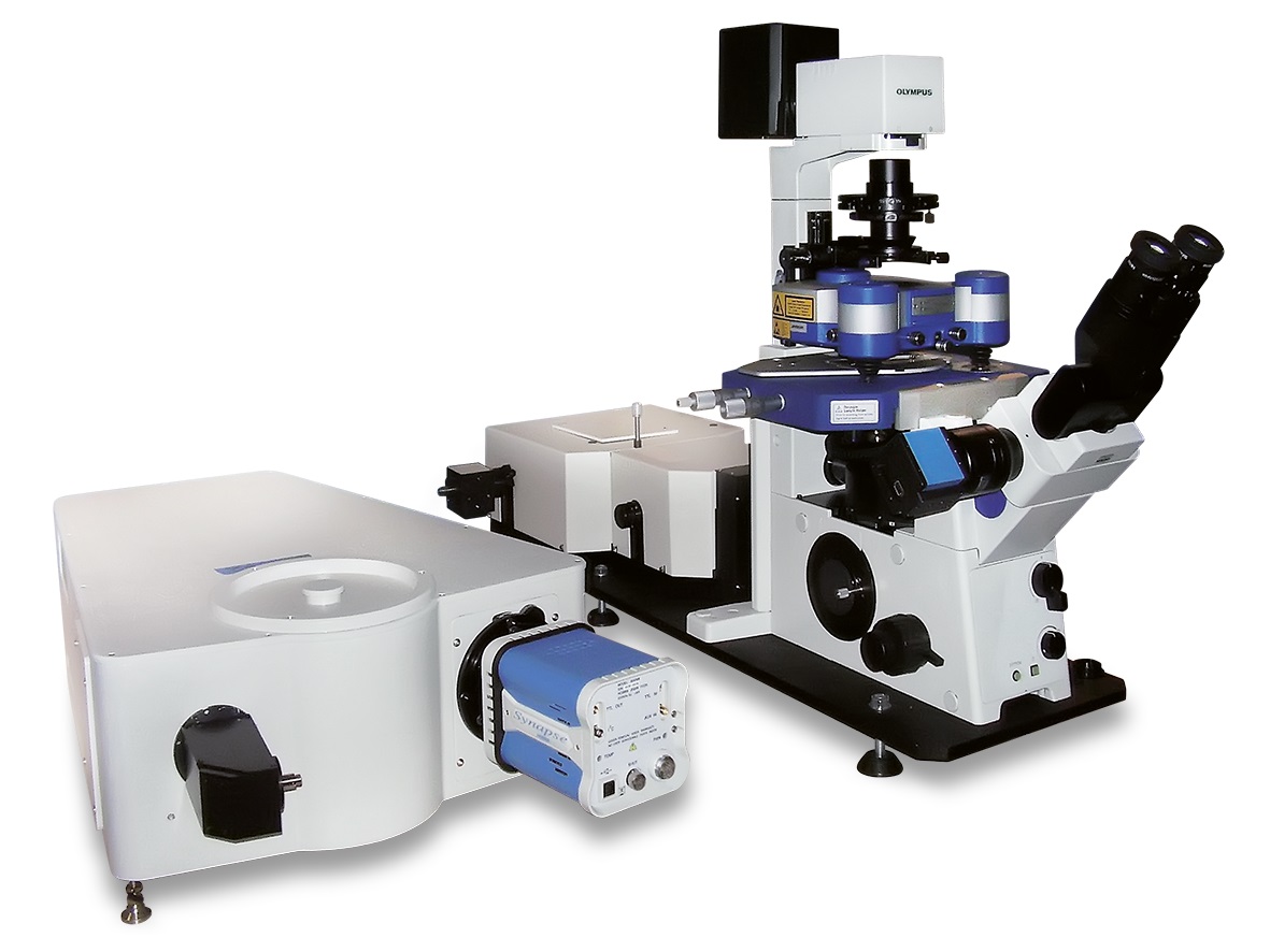 Nanowizard NanoOptics<br> 原子力显微镜